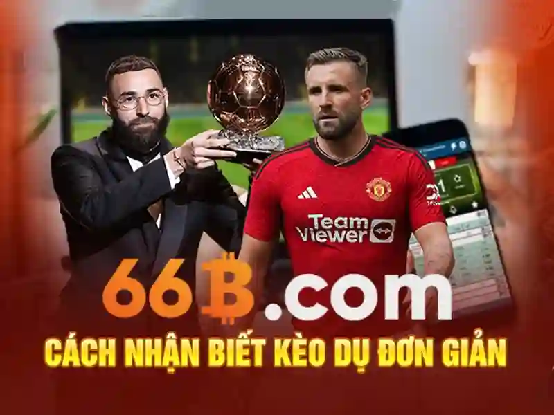 Dịch vụ và sản phẩm casino 66b