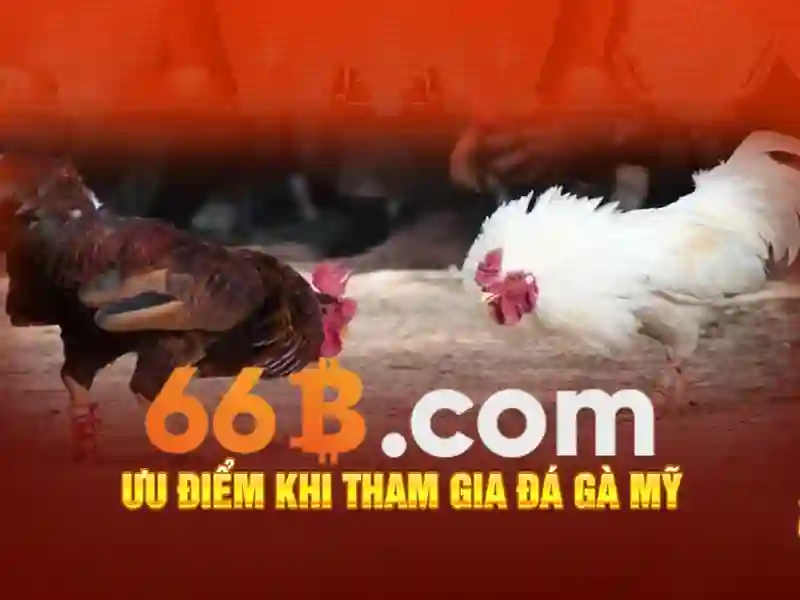 Giao dịch 66b - đường đua thương hiệu và trải nghiệm người dùng