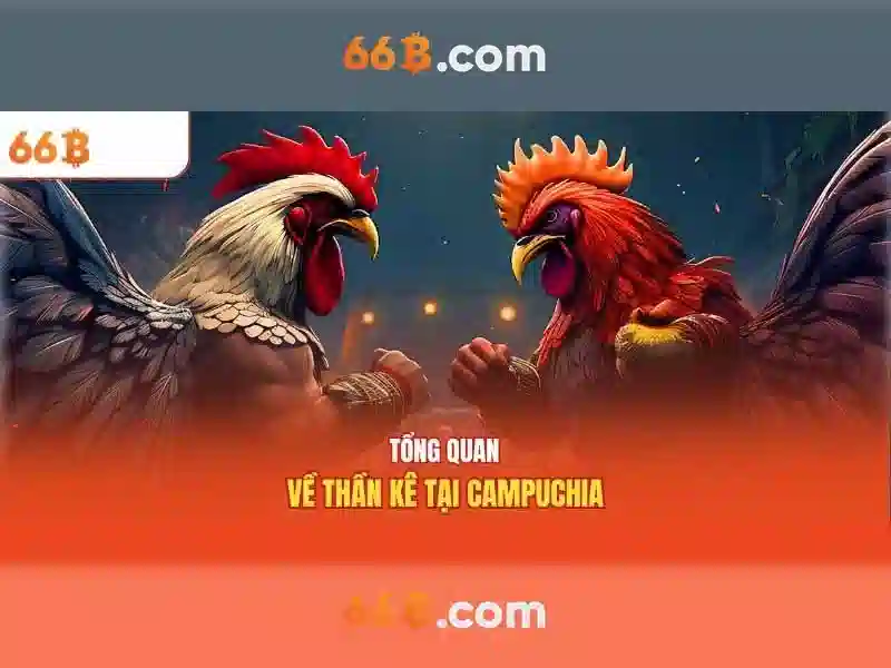 66B: Mô hình ngôn ngữ 66 tỷ tham số và những điều đáng chú ý