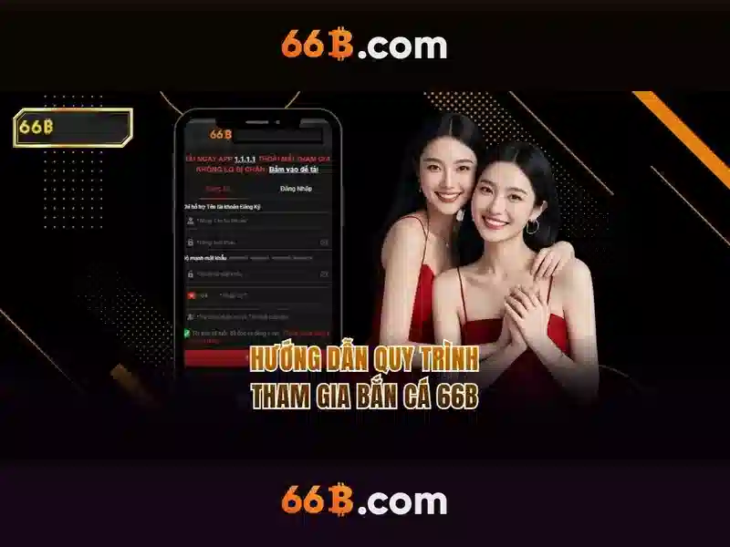Khái niệm 66B và mục tiêu