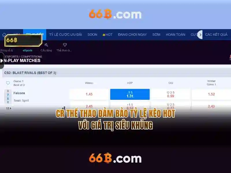 Kiến trúc của 66b và cách huấn luyện