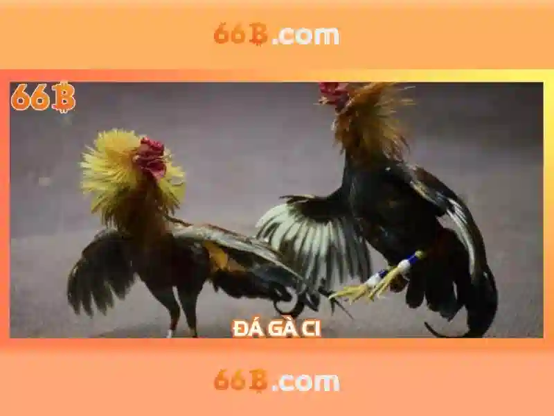 66b: Mô hình ngôn ngữ có 66 tỷ tham số