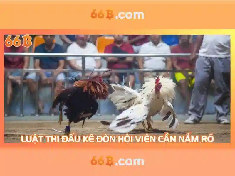 66B: một mô hình ngôn ngữ 66 tỷ tham số