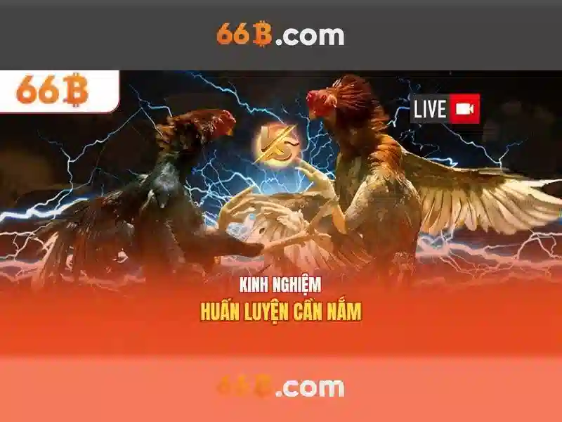 Dữ liệu huấn luyện và an toàn