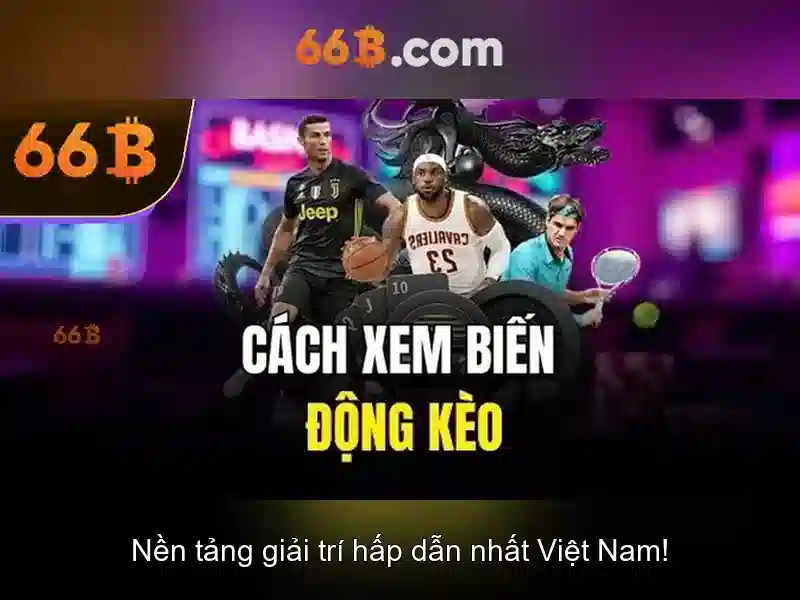 66b là gì và tại sao nó thu hút sự chú ý