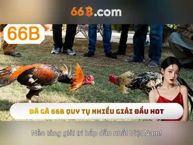 Chăm sóc khách hàng 66b: hành trình chăm sóc tận tâm và chuyên nghiệp