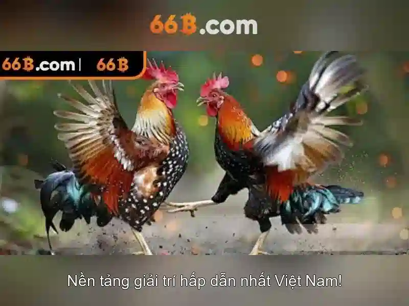 66B: Khái niệm, quy mô và ứng dụng trong AI ngôn ngữ