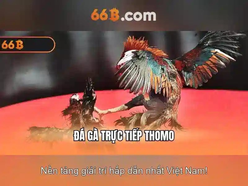 66B: Mô hình ngôn ngữ lớn cho thời đại AI
