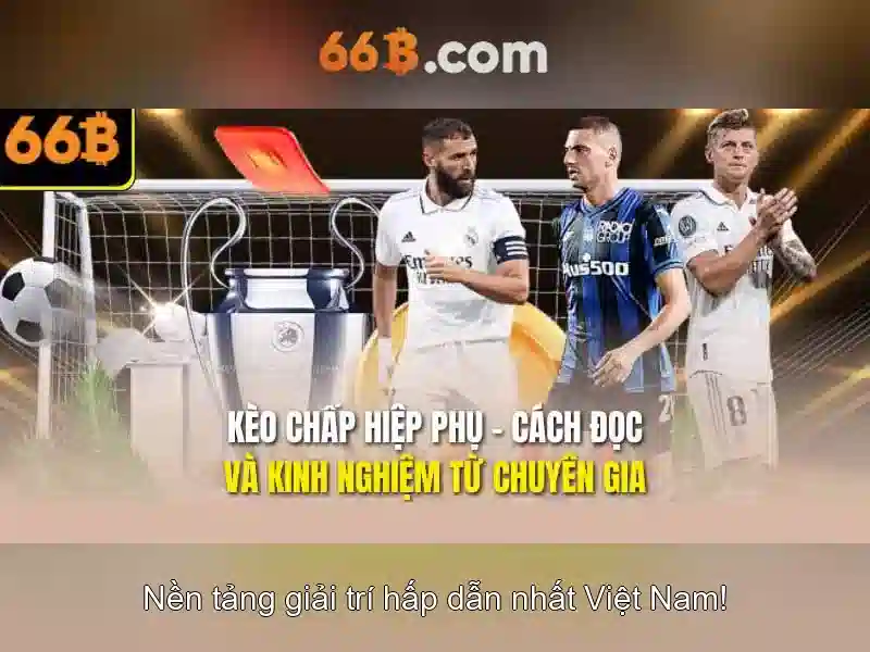 Làm thế nào để tùy chỉnh và tinh chỉnh 66b