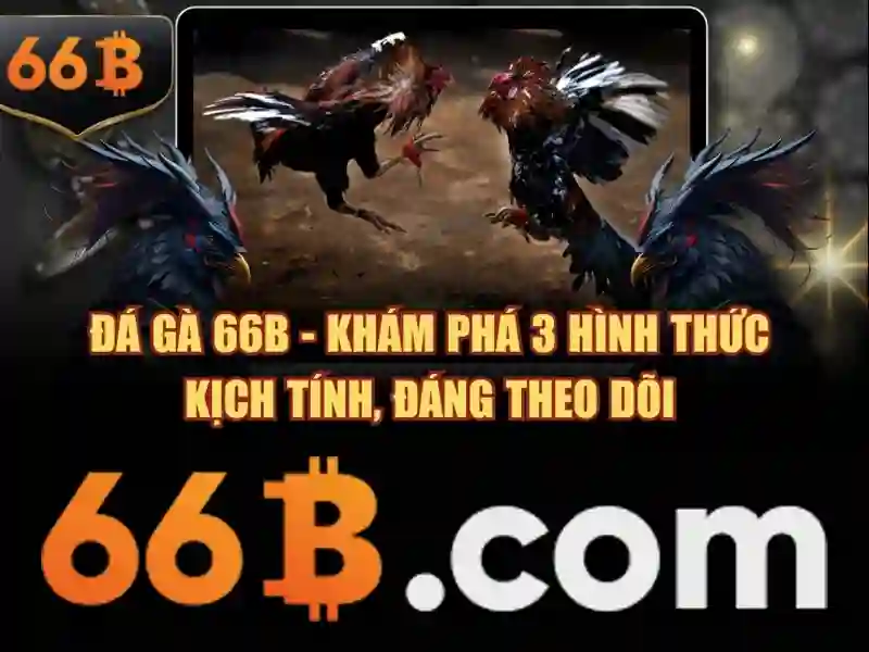 Kết luận về 66b